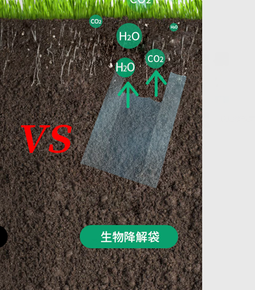 可生物降解環(huán)保塑料可以回收再利用嗎？(圖1)