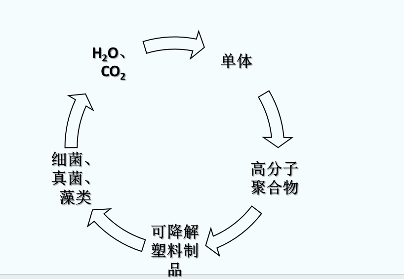 什么是可生物降解塑料？(圖1)