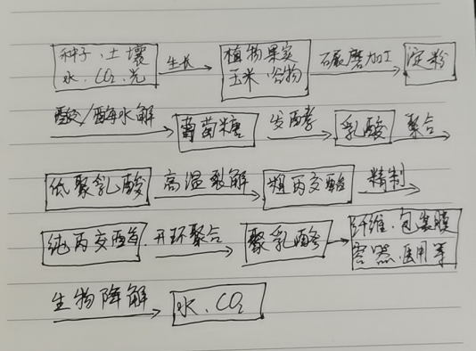 生物降解袋中的PLA是如何制得的？(圖1)