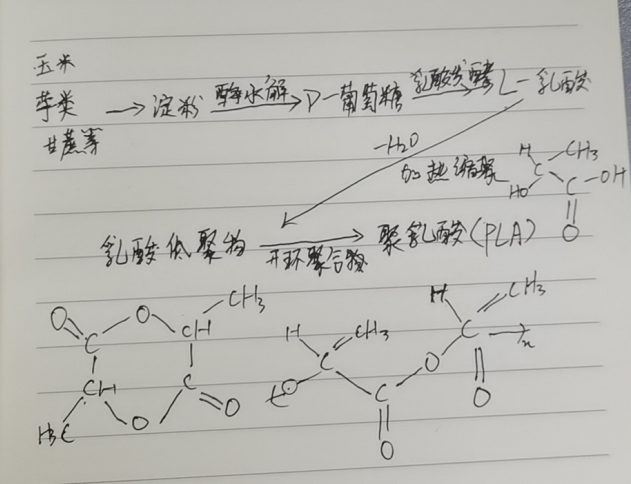 生物降解袋中的PLA是如何制得的？(圖2)